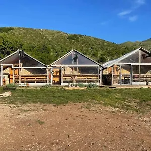 https://camping-cajupi.albaniahotels.org